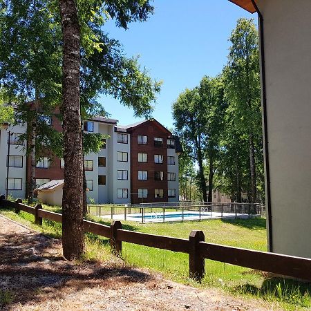 Depto Parque Suizo 800 Apartment Pucon Bagian luar foto