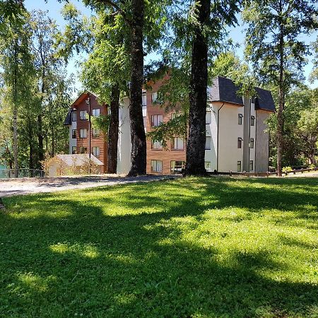 Depto Parque Suizo 800 Apartment Pucon Bagian luar foto