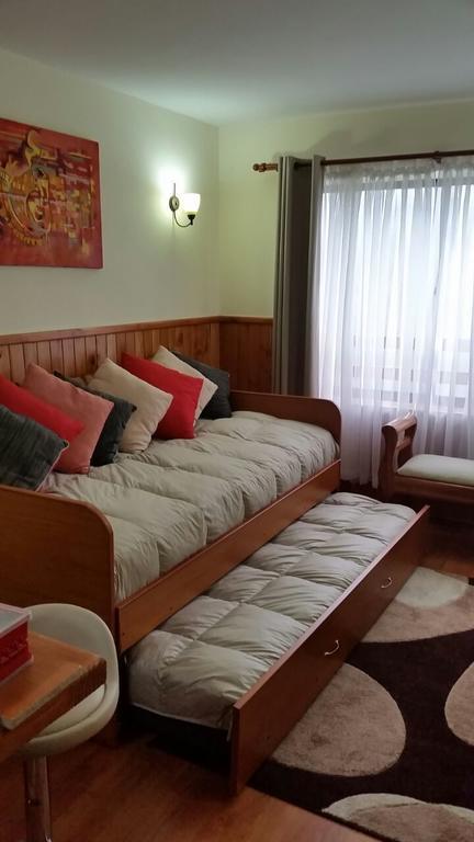 Depto Parque Suizo 800 Apartment Pucon Bagian luar foto